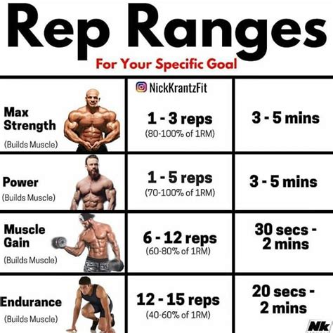 best reps and set range for shoulders